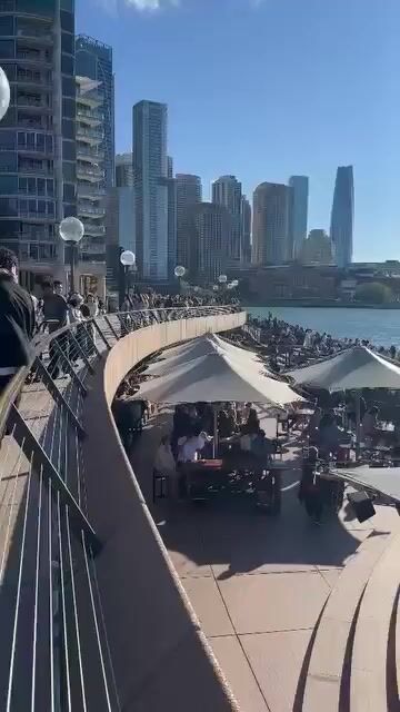 Live from Opera Bar