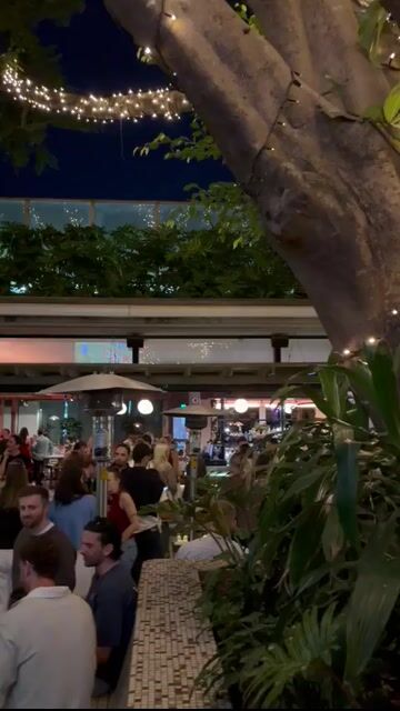 Live from Sheaf