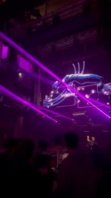 Live from ivy
