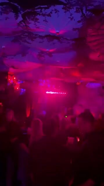 Live from Lucky Cat