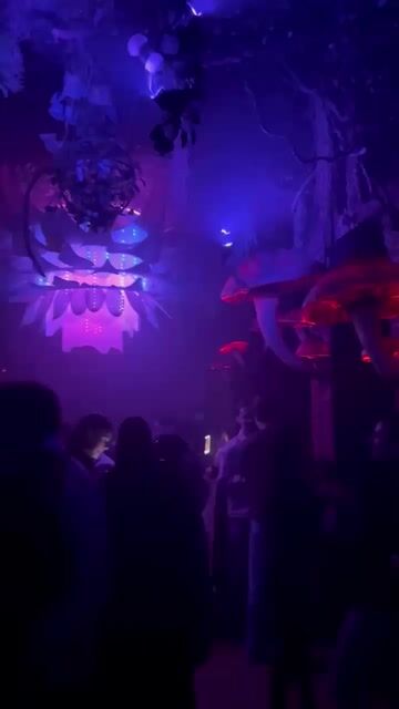 Live from Storyville
