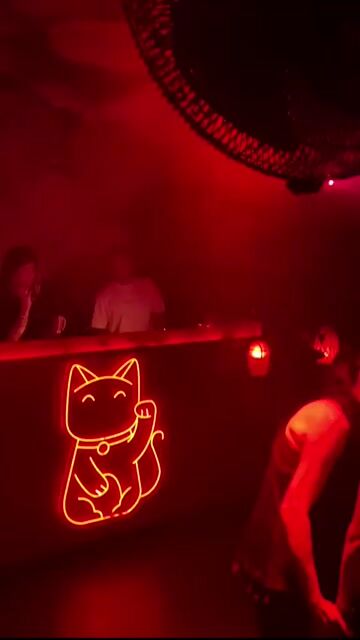 Live from Lucky Cat