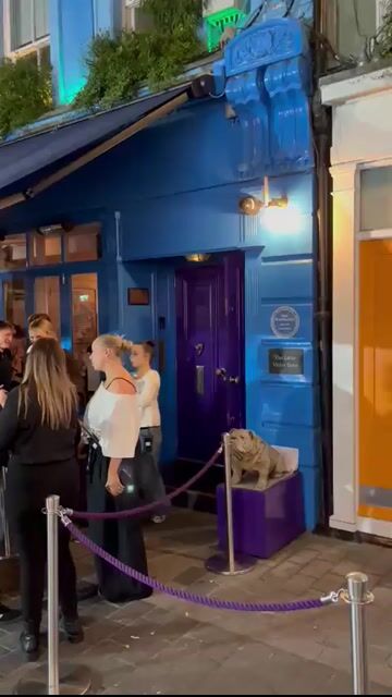Live from The Little Violet Door