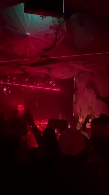Live from Lucky Cat