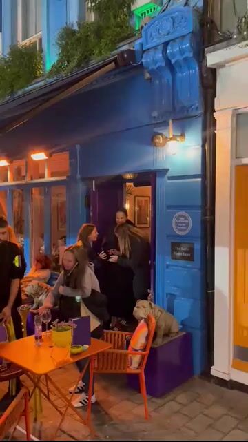 Live from The Little Violet Door
