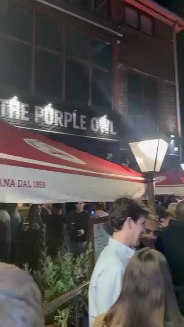 Live from The Purple Owl
