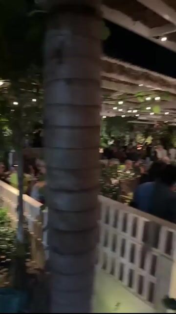 Live from Club Rose Bay