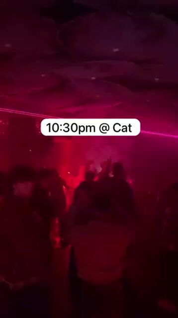 Live from Lucky Cat
