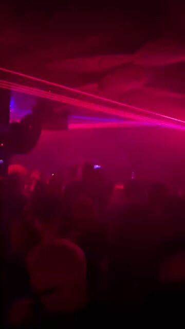 Live from Lucky Cat