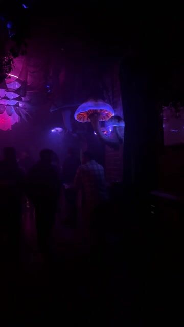 Live from Storyville