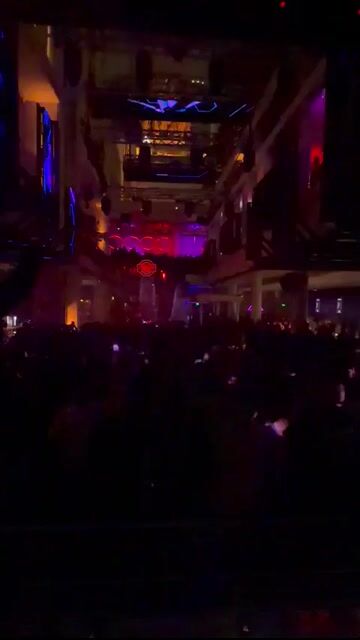 Live from ivy